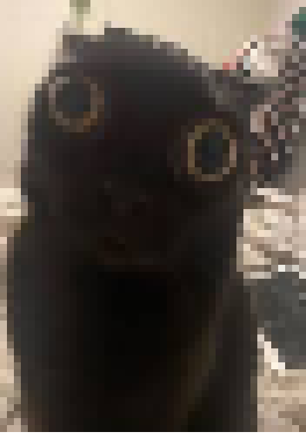 [35dc76] good mornings paras, i says, before passings the fucks out