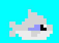 [acbc50] Back! -Pams Great White Shark