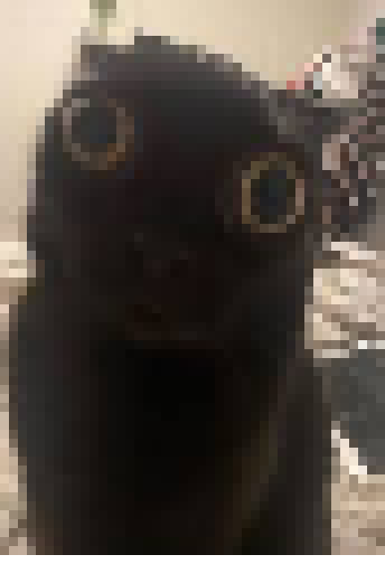 [35dc76] i know what you are.