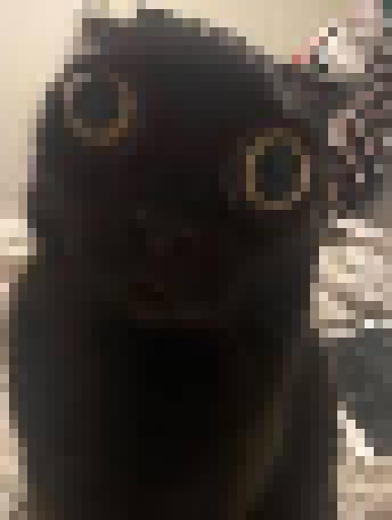 [35dc76] i dont think i did actually, leme look for it