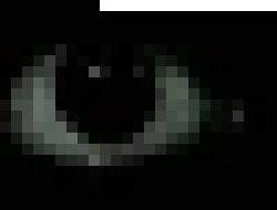 [1f86ca] John and jimmy if you two don't join the wb in about two seconds and help me think of and wb oc that isn't a flower or wd I will blow this place up