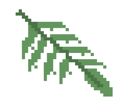 [fd1829] fern for portr2