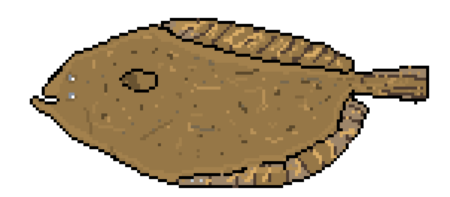 [650301] Flounder