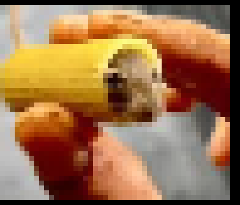 [a3cdc6] oiiimaaaaaaa gn chat