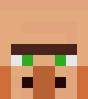 [591383] Villager 5 Face