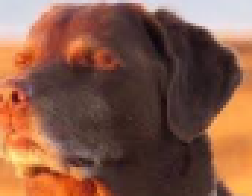 [a38274] (oooh) I AM FOR REAAAALL