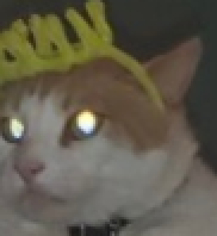 [d0027a] *pats zach* no worries. -King George