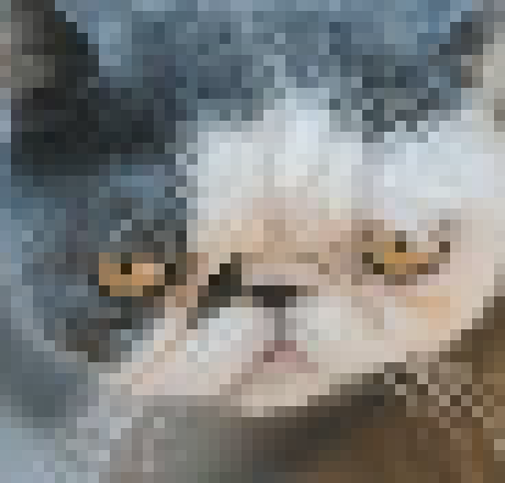 [1f86ca] answer yes cat still funny