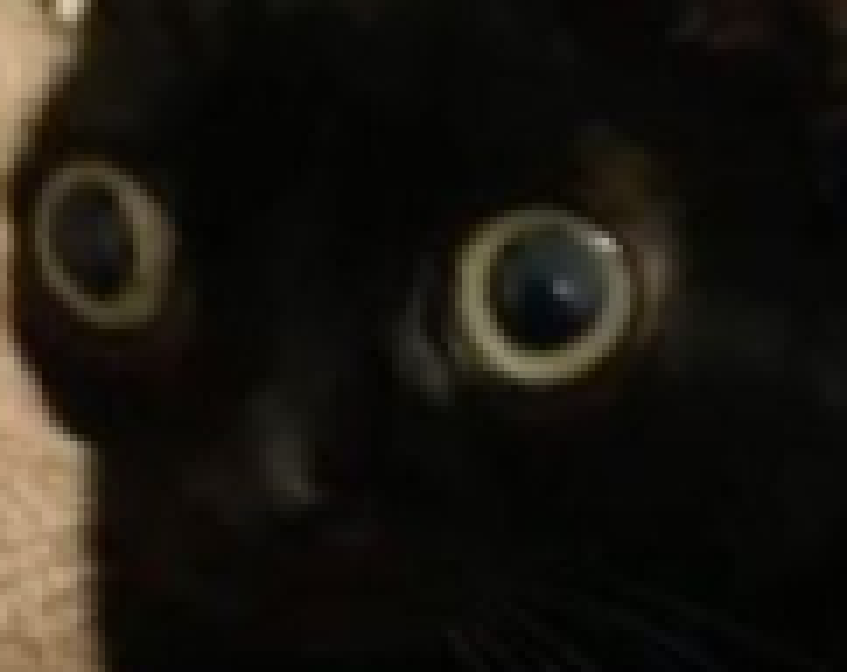 [a56108] Idk- I just need to like- . . . AGRHAGDIJ