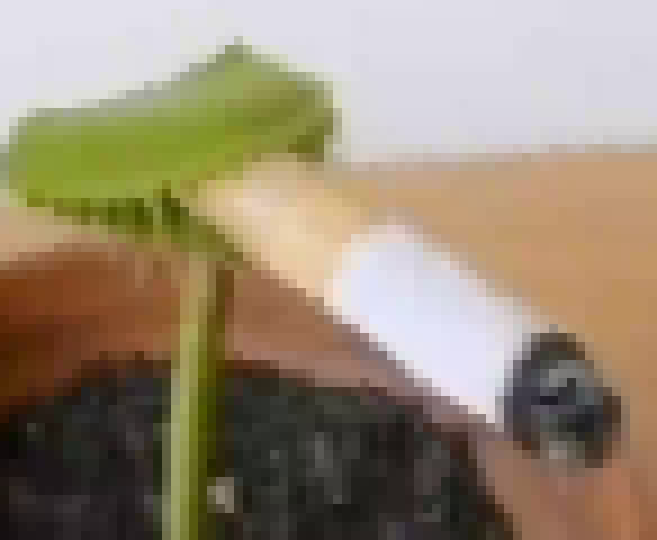 [990543] you ever just check a youtube link on a pixel art site and immediately get filled with fear and a little nostalgia? 