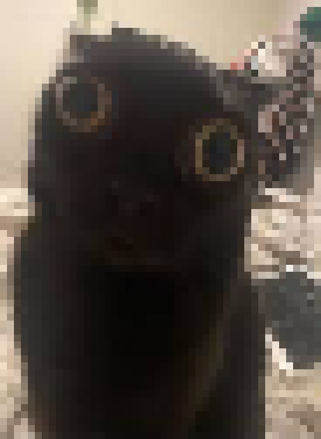 [35dc76] types "john" into [insert name here] and fucking DIES