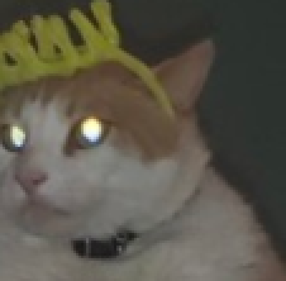 [d0027a] H A N D S O M E K I N  G G E O R G E)-Oreo