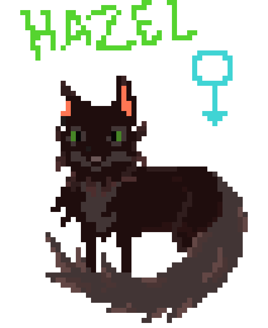 [9664c4] Hazel(Character)