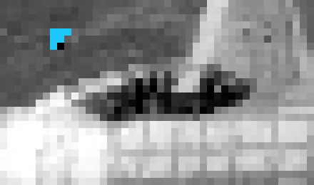 [5c793e] il make goji on my break -sj