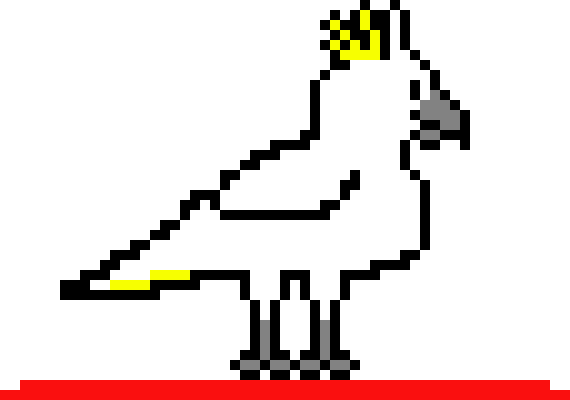 [478864] cockatoo surf