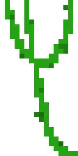 [aa43a6] Vine (Type 2)