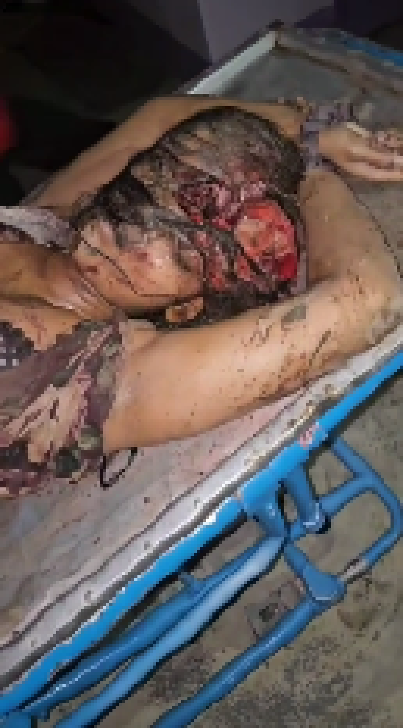 [ef7cdf] Big mistake talking about me, heres some fucked up gore, enjoy.