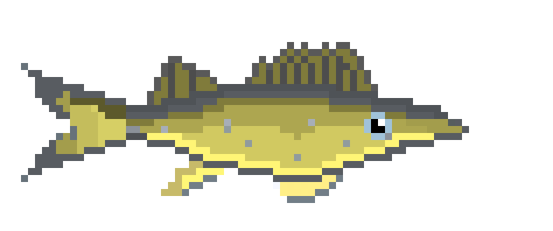 [650301] Walleye