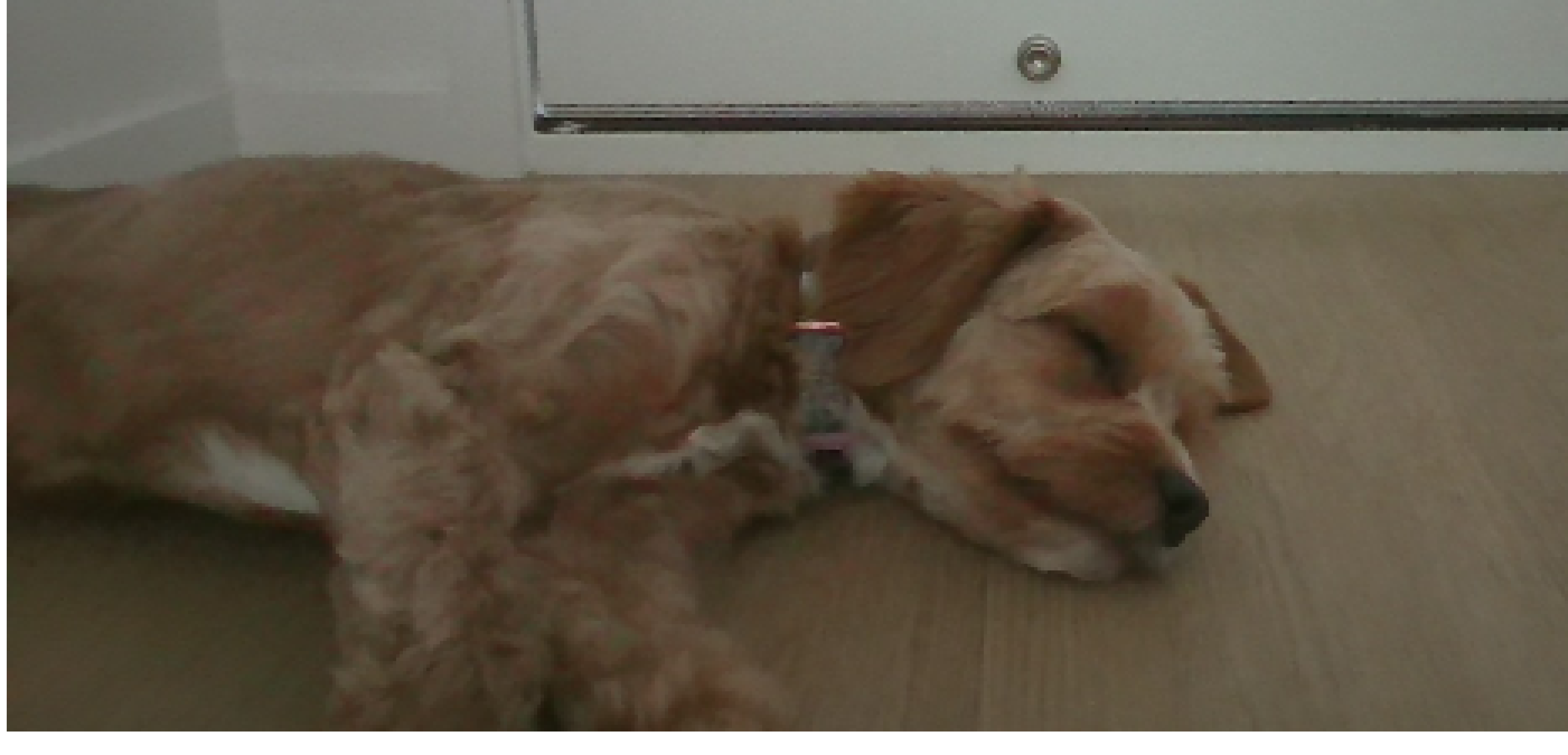 [c9072f] gracie but pixel