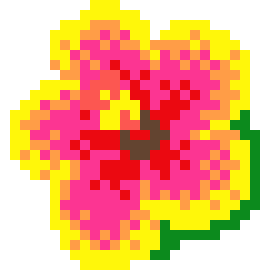 [9664c4] HibiscusPinkYellow