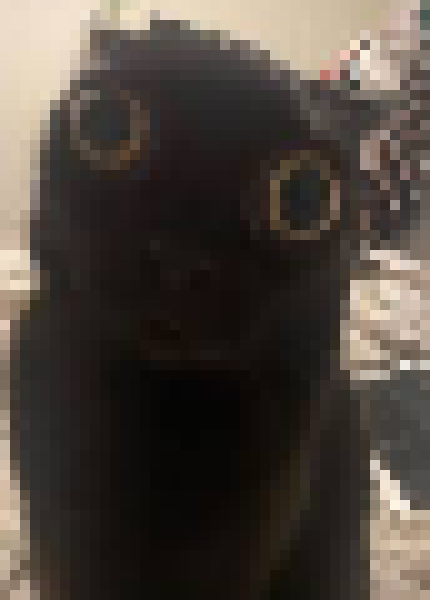 [35dc76] the 2-1-2 pixel lines, the sharp corners, colors touching in certain places, the colors. man change up your style at least