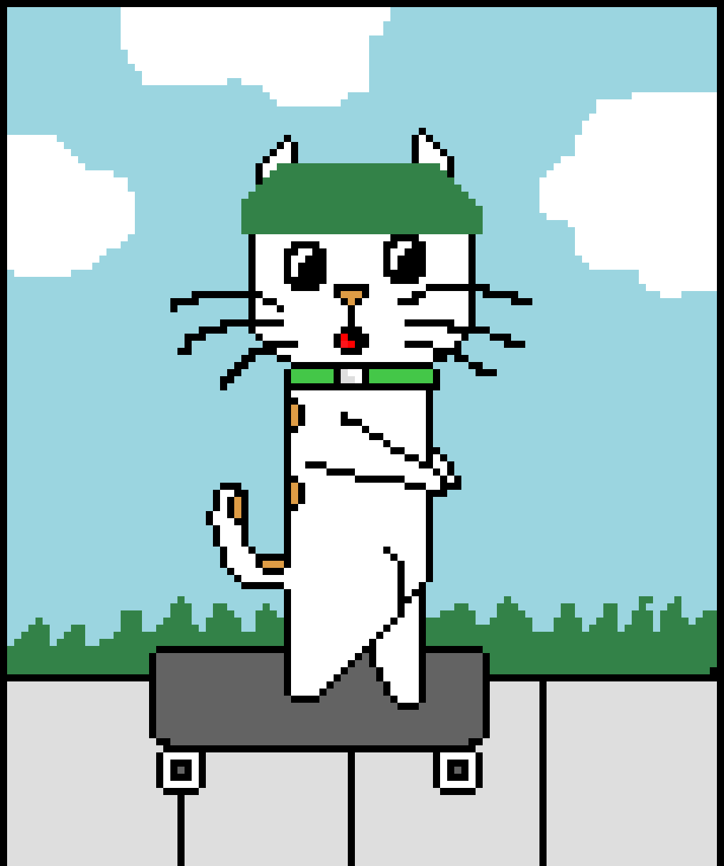 [9664c4] Skatebording Cat.