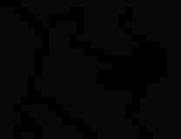 [6eba0a] JJHJJHJHJHHJJH WELL STOP. +~CadmusTheDragon/13~+