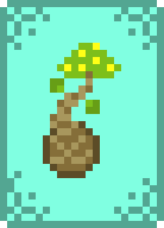 [135f86] Ward Wattle