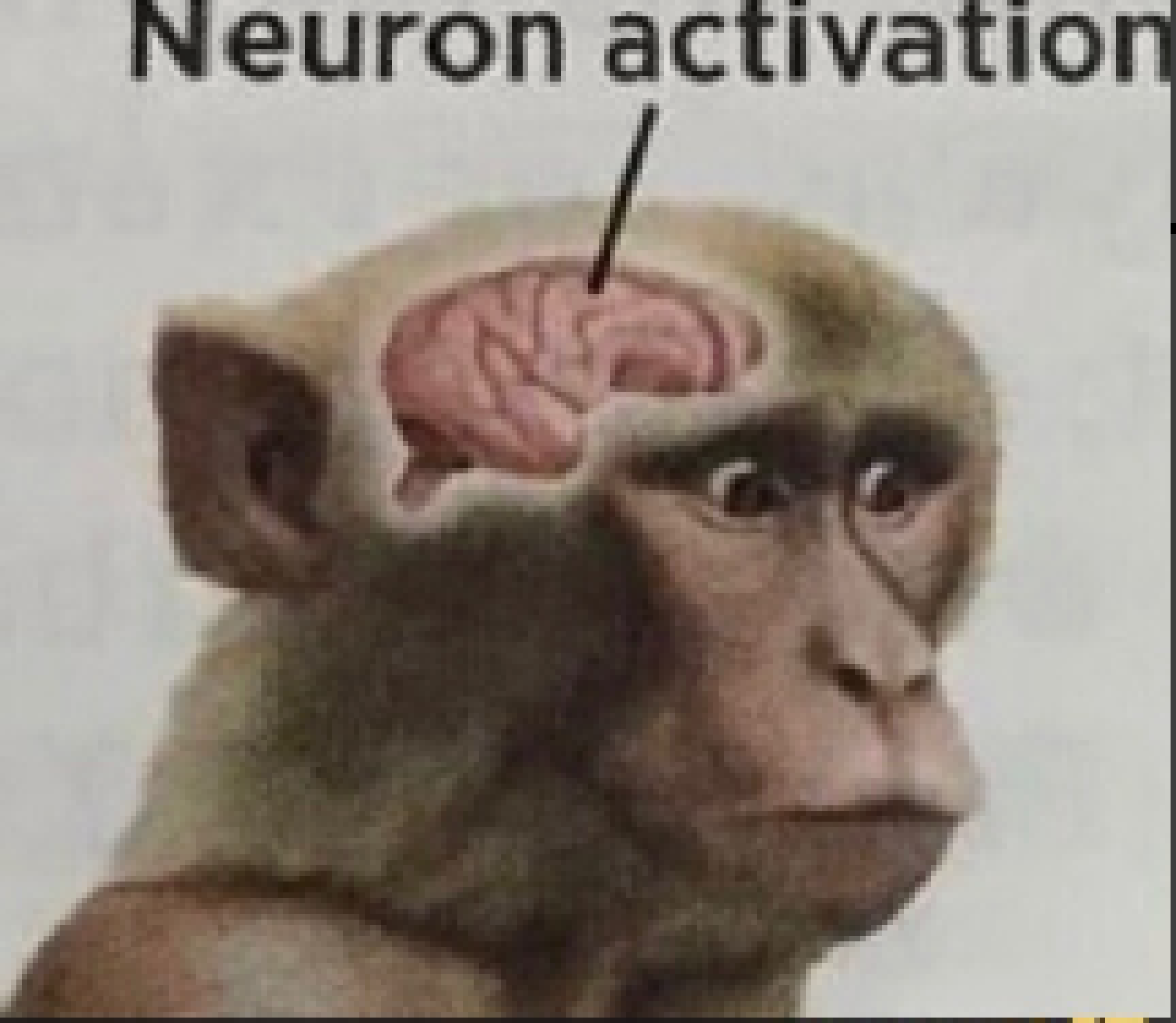 [15280a] half life 2 mentioned