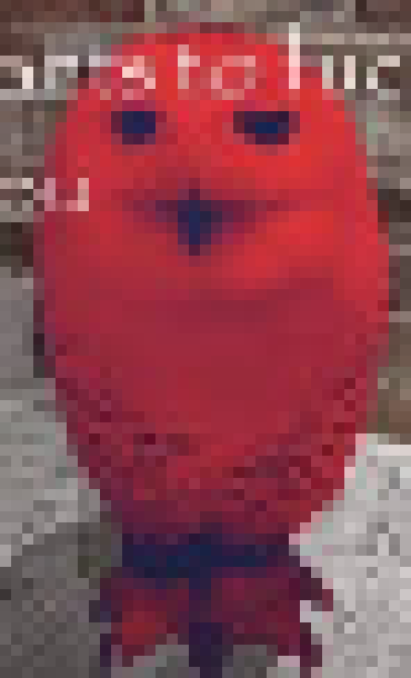 [f5254f] these guys are too gay for me,.. smh,..