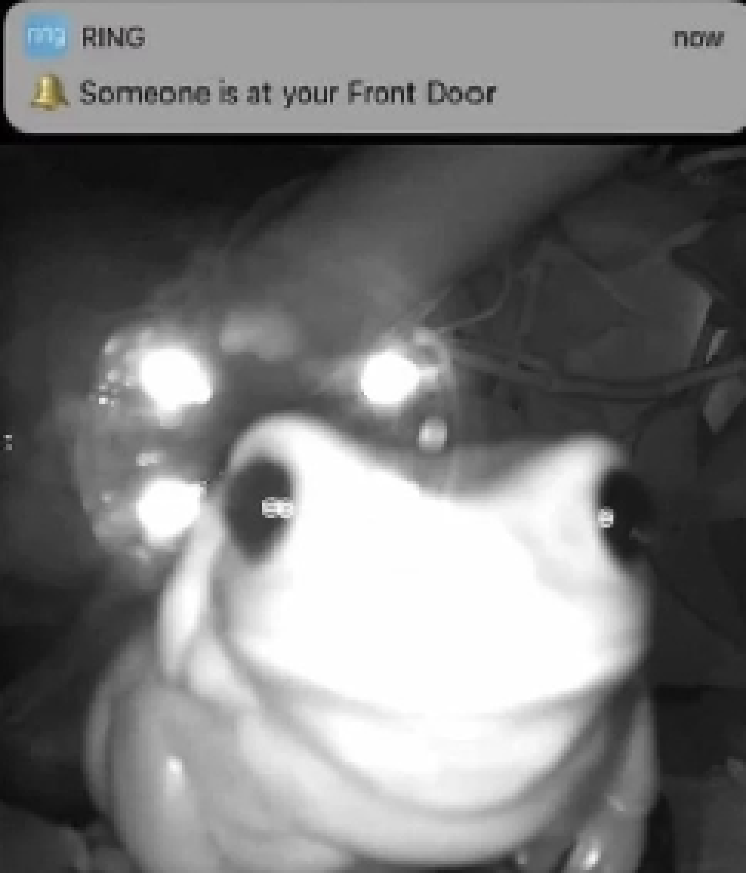 [071788] bro i have to do an essay for rti