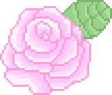 [9664c4] Rose