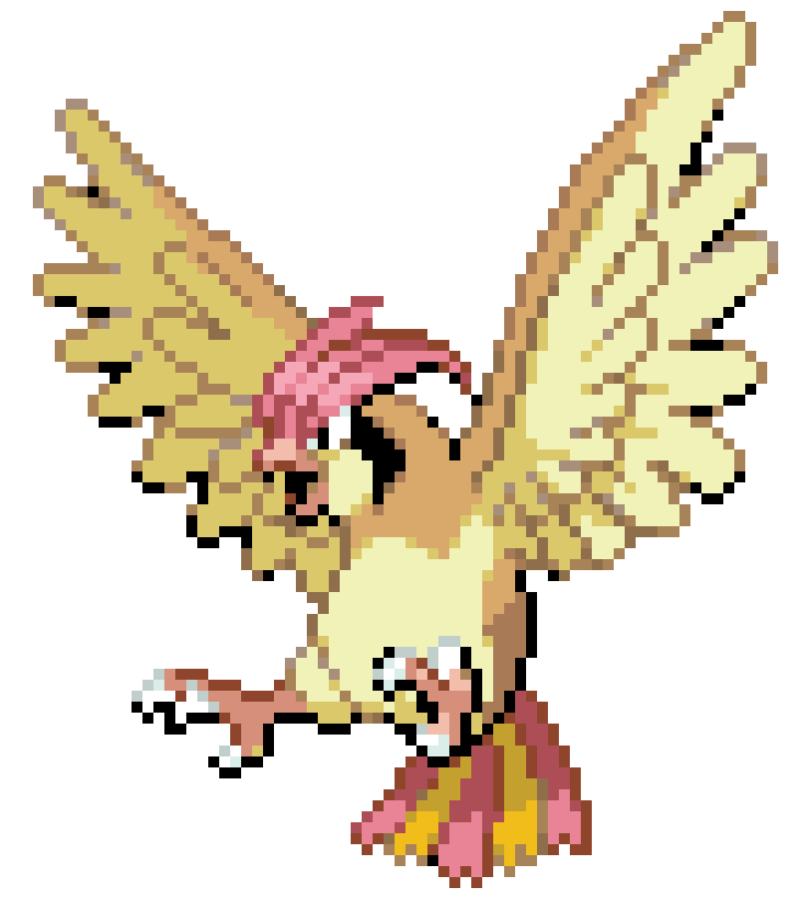[9664c4] Pidgeotto 017