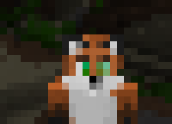 [c8476c] No I just built the cross and but an X-ray texture pack beneath the original textures so the only thing that is see through is water... for some reason.