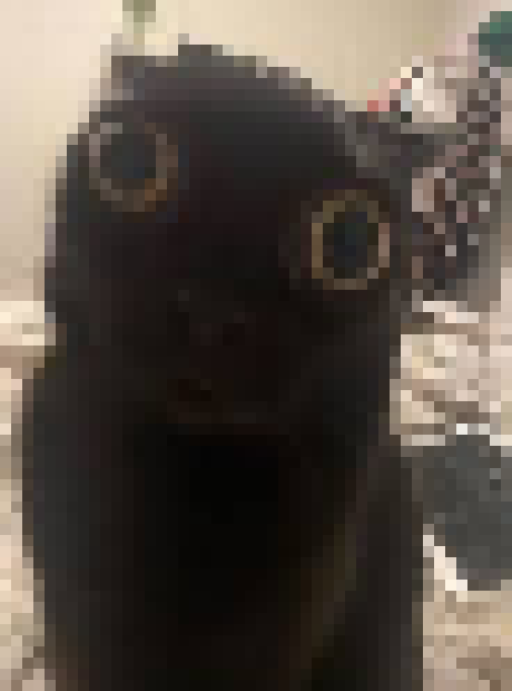 [35dc76] 𝗦𝗜𝗫𝗧𝗬 𝗗𝗘𝗚𝗥𝗘𝗘𝗦 THAT COME IN 𝗧𝗛𝗥𝗘𝗘𝗦, WATCHES FROM WITHIN BIRTCH TREES, SAW HIS OWN DIMENSION 𝗕𝗨𝗥𝗡, MISSES HOME AND 𝗖𝗔𝗡𝗧 𝗥𝗘𝗧𝗨𝗥𝗡. SAYS HES HAPPY HES A 𝗟𝗜𝗔𝗥, BLAME THE ARSON FOR THE 𝗙𝗜𝗥𝗘, IF HE WANTS TO SHIRK THE BLAME, HELL HAVE TO INVOKE 𝗠𝗬 𝗡𝗔𝗠𝗘.