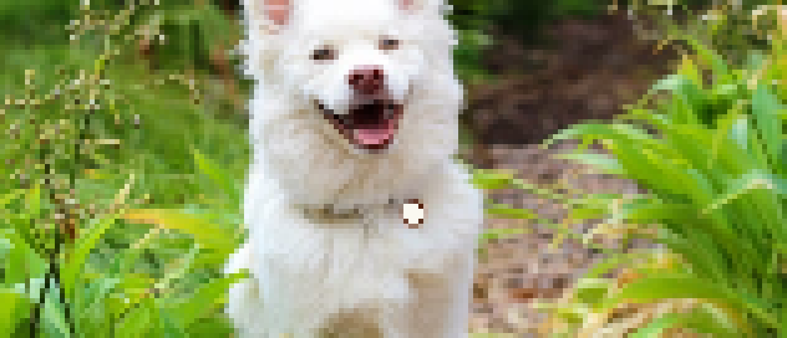 [56228f] Lena pixelart