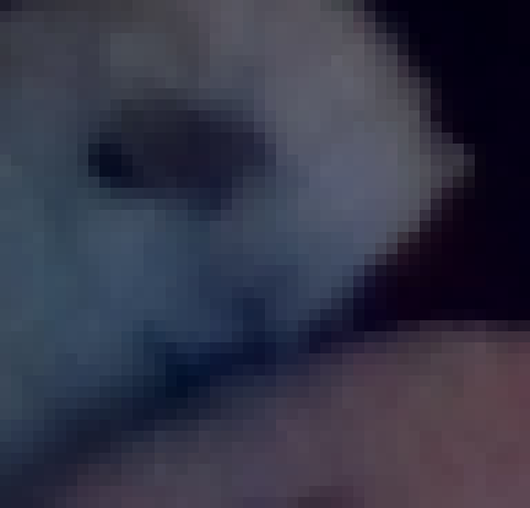 [2b000e] no argue. Have small kitty.