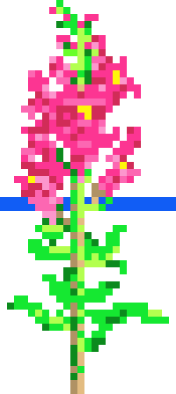 [9664c4] SnapDragonsDarkPink