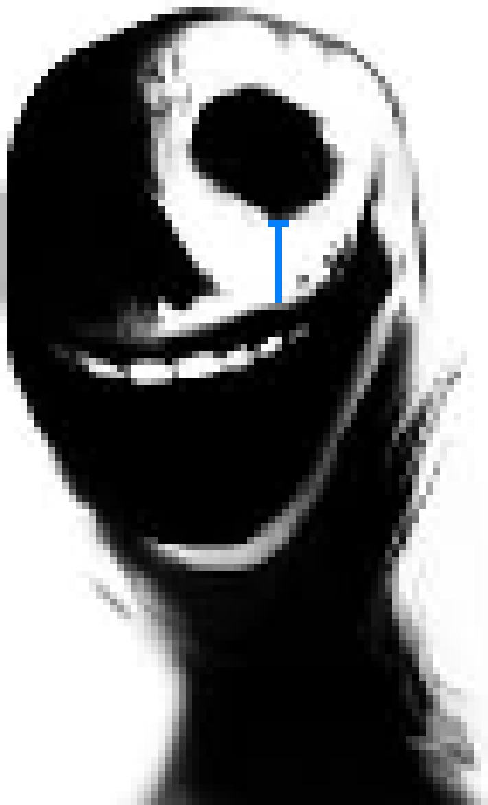 [b63bdb] *the closet doors open* don't worry gu- *the closet doors shut on him* . . . . . . ok