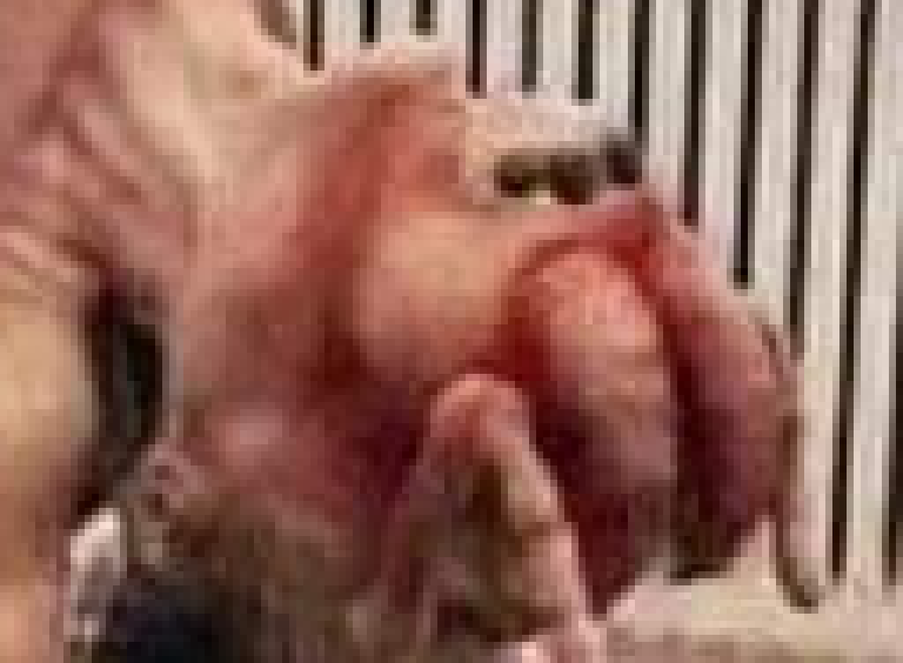 [8bcd22] Lmao I'm going now, bye dickheads