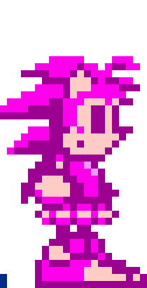 [706342] AMY The Hedgehog NES 