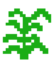 [9664c4] Tomatoplant_1