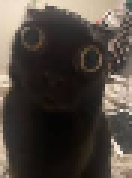 [35dc76] YES THE LAG IS GONE!!11 SHIT RUNS SMOOTHLY NOW1!!!11!!1!