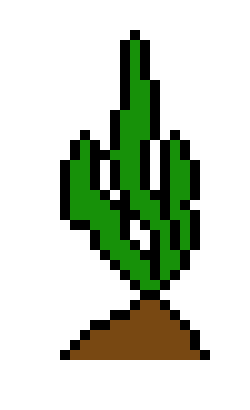 [650301] seaweedwithboarder