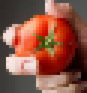 [35dc76] tomatoes aquired