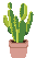 [cbe8c5] Cactus