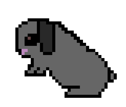 [9664c4] Oscar the rabbit now jumping