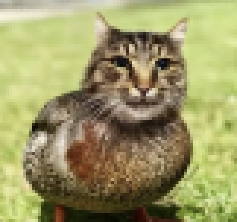 [35dc76] why are you looking at me like that, you frea