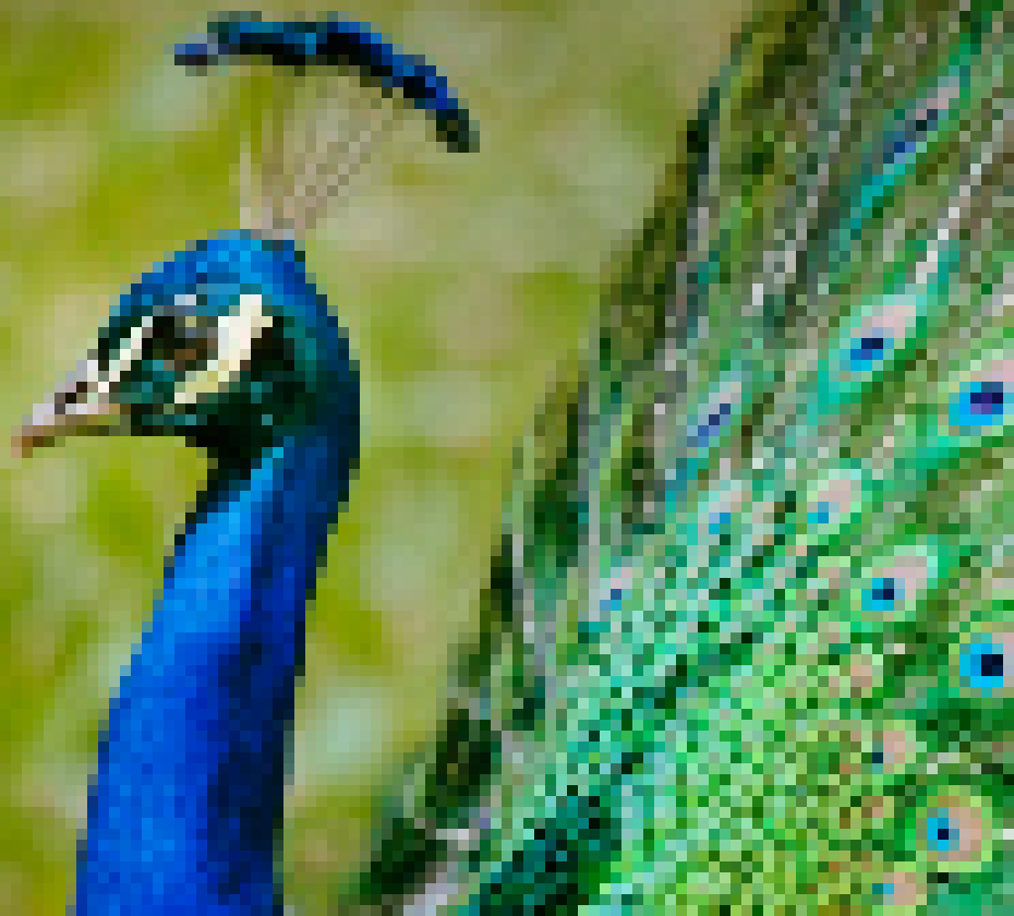 [acbc50] (im gonna head out and wait for pam to be active)