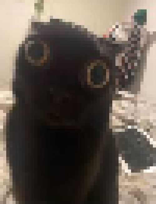 [35dc76] urh one, two, three....... what comes after thr-